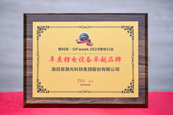 维科网奖牌.png
